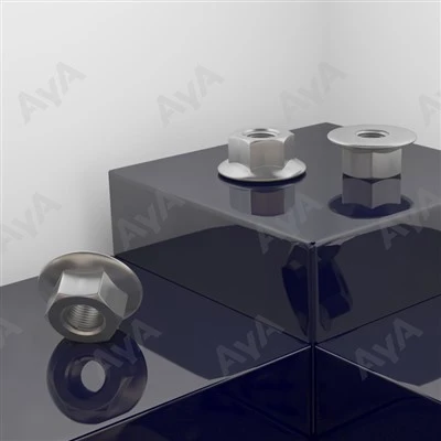 Stainless Flang Nut.